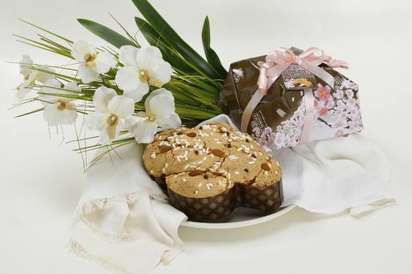 colomba-al-cioccolato-pasticceria-di-sambuco